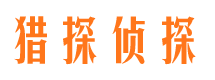 翠峦侦探公司